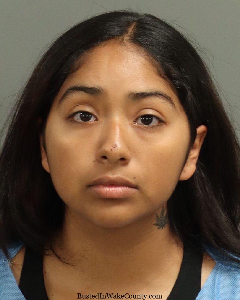 2D713D5E-4179-4477-87D1-8B7EEAB5F5CB