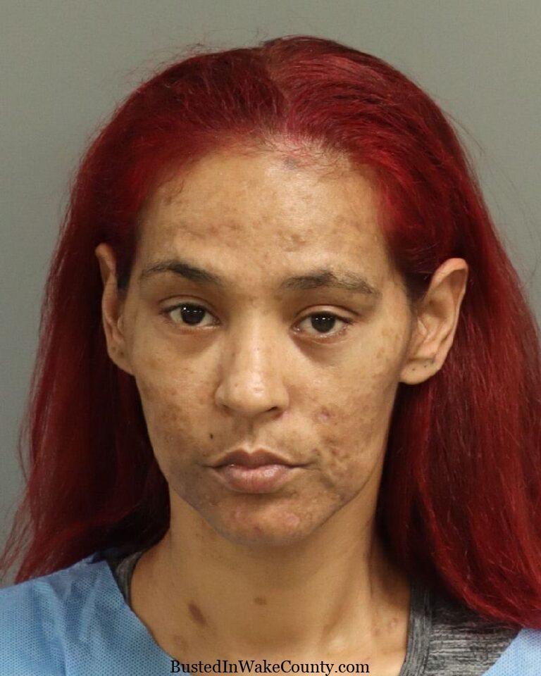 Takesha Pribble Mugshot 02-04-2025 Wake County, NC