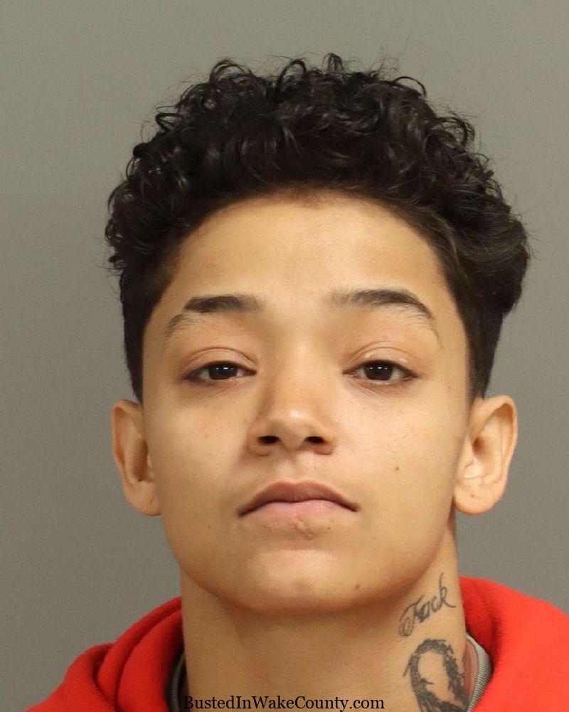 Hallie Hutchens Mugshot 02-11-2025 – Wake County NC