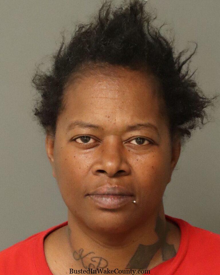 Heather Hayes Mugshot 02-04-2025 Wake County, NC
