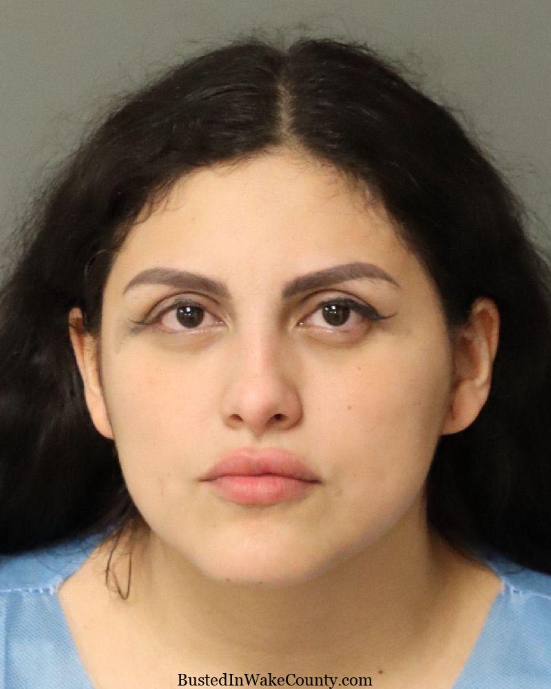 Amelia Grajeda-Garay Mugshot 02-06-2025 – Wake County Arrest Details