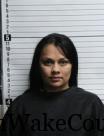 Yerling Anielka Ardon-Alvarado Mugshot 02-03-2025 Brunswick County, NC