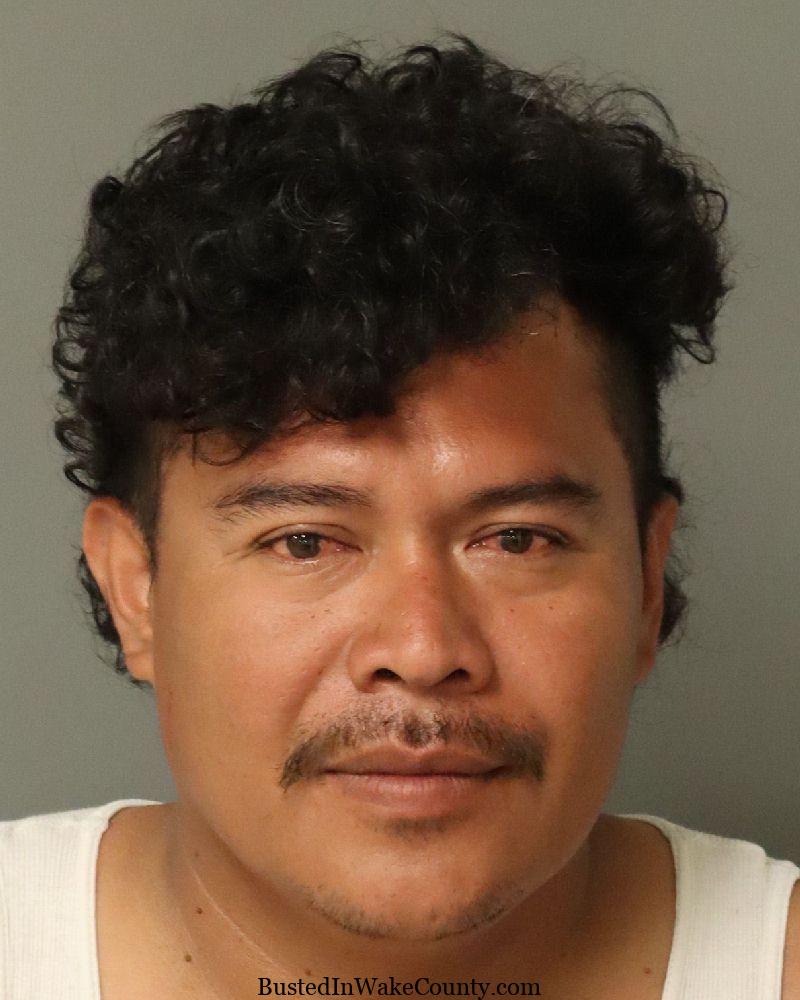 {E534B954-9939-4AF4-A6F7-582E59A7C73A}