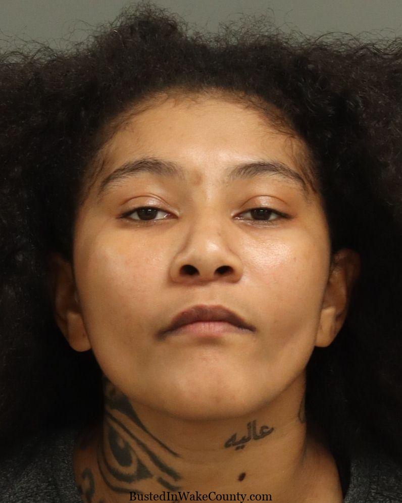 {9A51BD04-664B-4C59-A11F-8C6E5ECF4043}