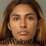 {ABDA71ED-E75E-420E-AB5F-FE4072962D04}