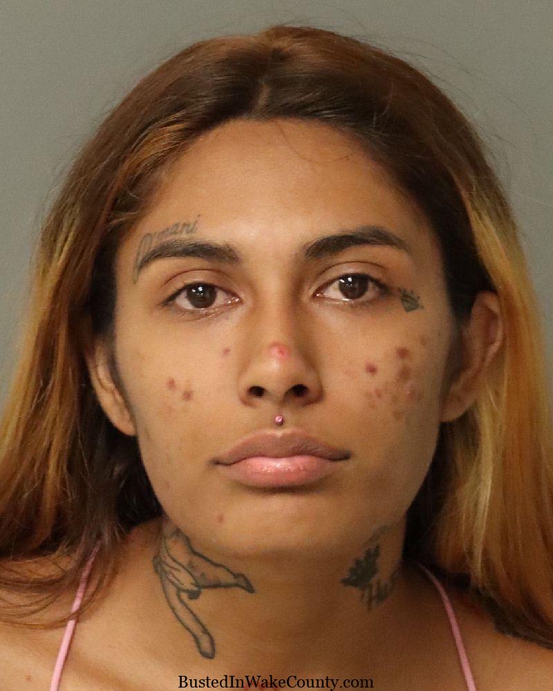 {ABDA71ED-E75E-420E-AB5F-FE4072962D04}