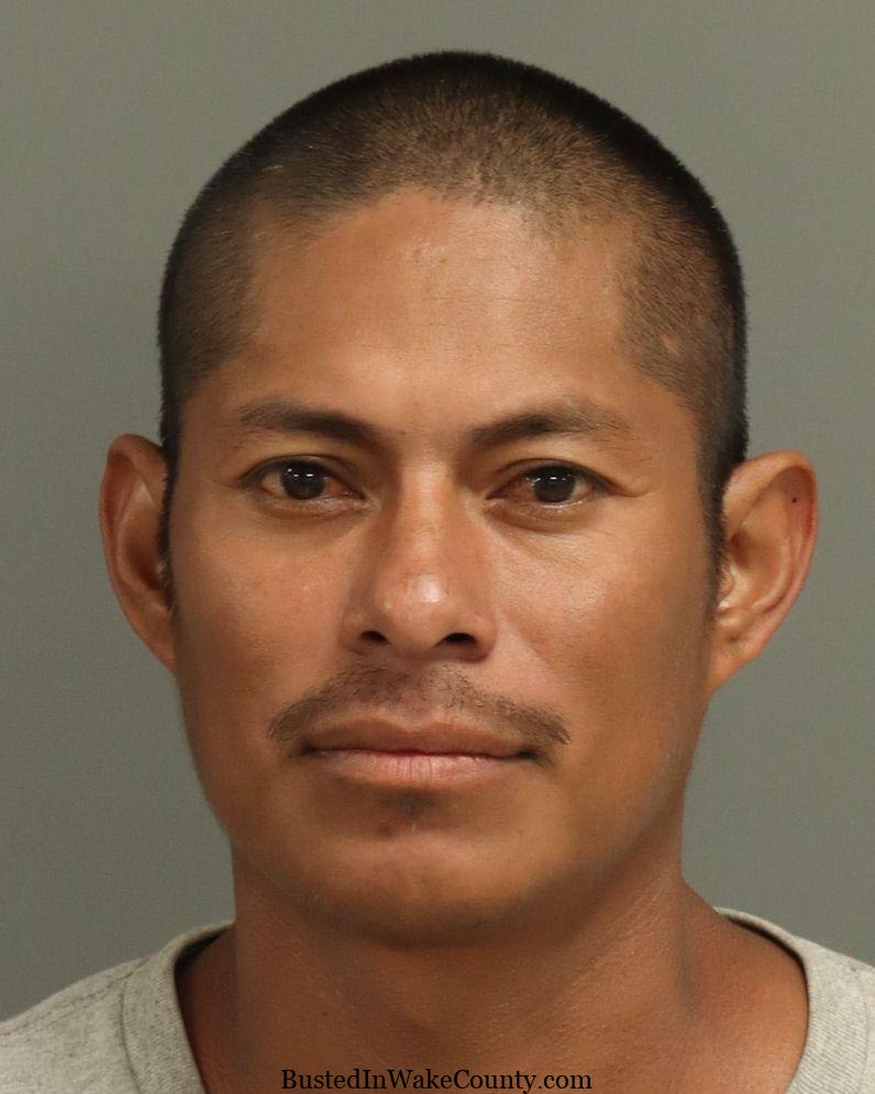 {EC64D4CA-9491-4662-B0D3-914F8D3740A2}