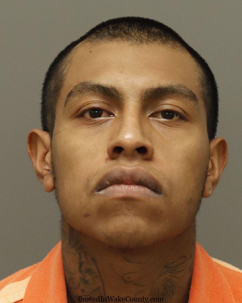 {1953BC81-8293-4BF7-B8E2-EC538785C027}