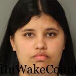 {2D6E088A-0CA9-4E02-B1EE-F26D5B1A36AE}