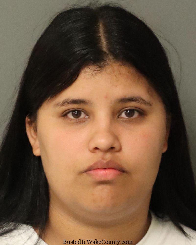 {2D6E088A-0CA9-4E02-B1EE-F26D5B1A36AE}