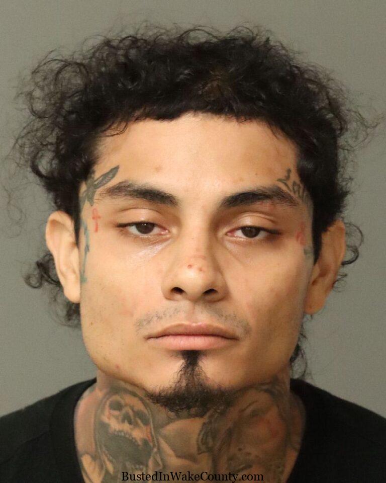 {439BE1B4-3DB0-4AD2-8C19-DEB0A203688E}