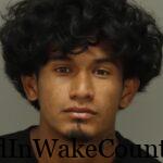 {67144220-AE25-4349-A499-78A9EDA22E1F}