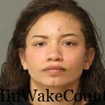 {68FE0AE8-034A-41EA-83E4-681942849953}