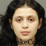 {9ABE633C-4561-4AD1-85D1-C56B164FEF73}