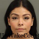 {C542A130-1920-4AEC-B726-212AA0A13C45}