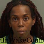 {CF612BB8-23C6-4AC4-92DB-818A052B7081}