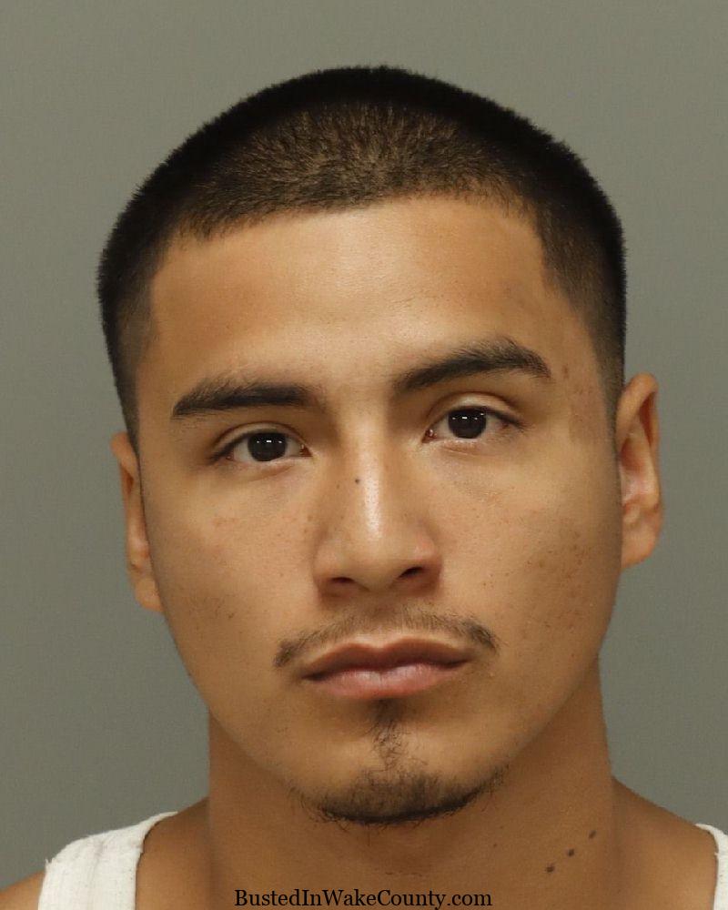 {81101BD0-2611-4D6B-9D42-D42C04651C1C}