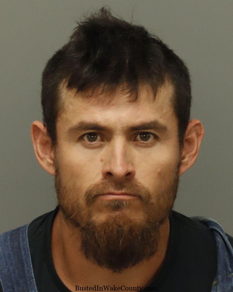 {8AE3FD8C-8AAF-4E26-A2C4-EF3D89331874}