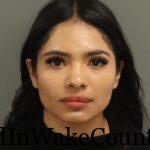 {0870FA70-8B69-4528-BB82-4DD4E51CEA2C}