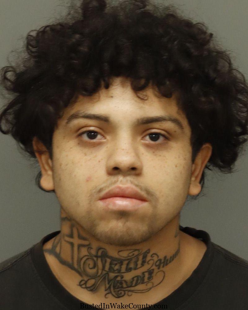 {12C3E47C-7054-4652-8BFE-A1BC77679B60}