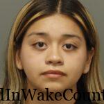 {78366725-5014-45E6-B268-12745A861E19}