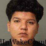 {BA4AD53F-272D-4B9A-850D-7428CEDAF07F}