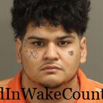 {D215E7CB-D3DB-48FD-8DA9-8F8338A0D384}