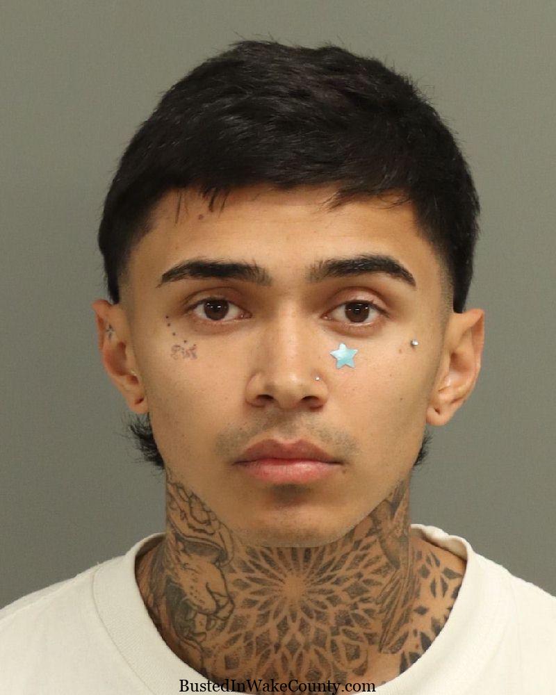 {FA8519F0-88B5-4EF6-90D5-486C990A62FA}