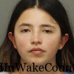 {CF34B6B4-9A3F-4525-A546-B0EE24A18578}