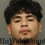 {91685B8C-85A0-4791-AD81-860292BE1CA4}