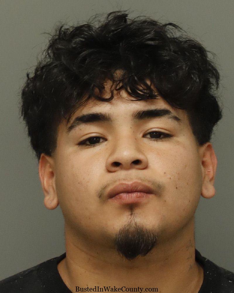 {91685B8C-85A0-4791-AD81-860292BE1CA4}